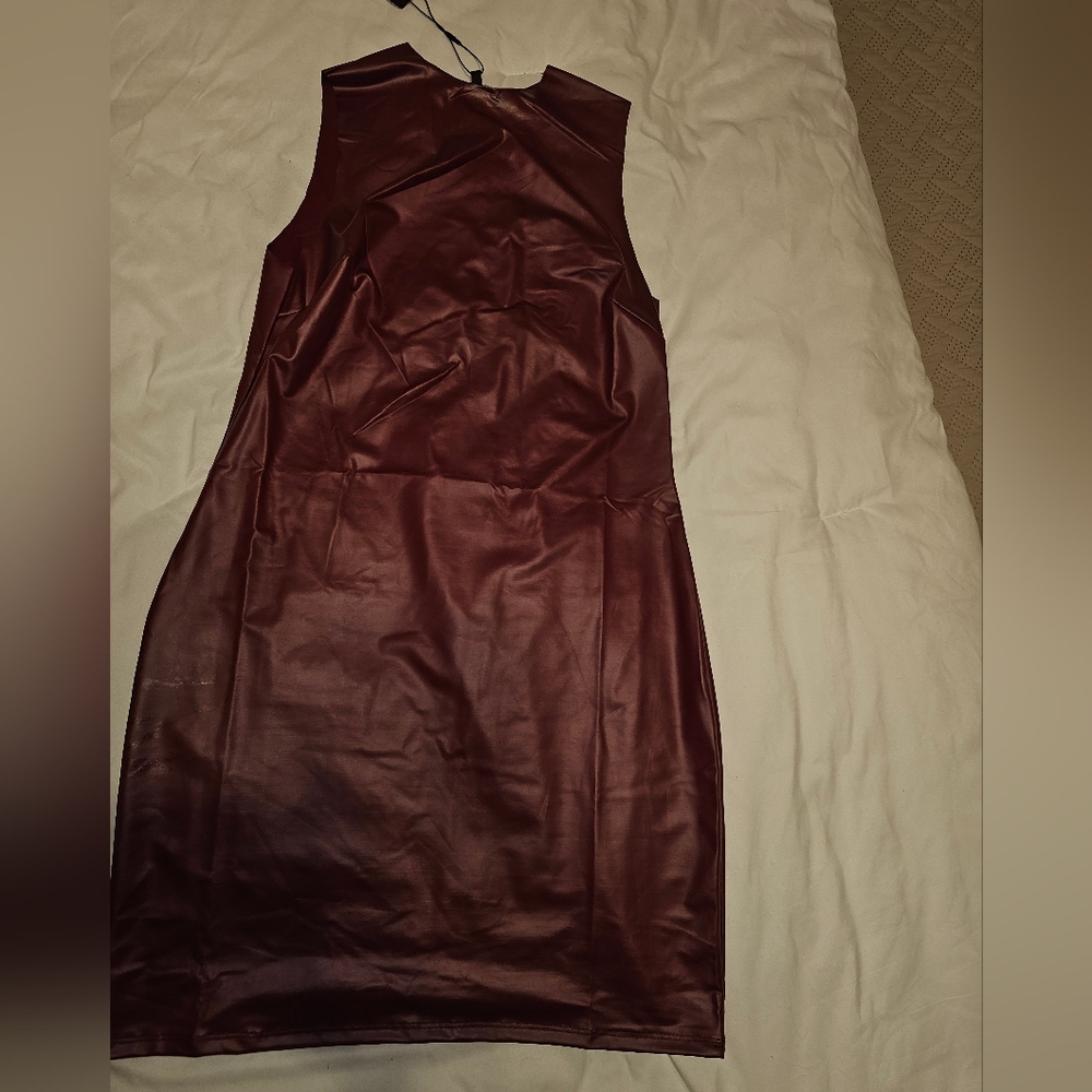 Elegant Burgundy Sleeveless Dress